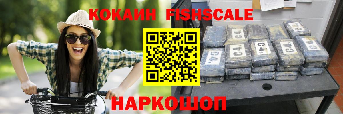 КОКАИН Fish Scale  COCAIN Fish Scale  Вход с VPN  Сунжа 