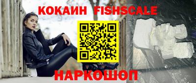 таблы Новозыбков
