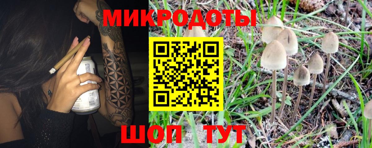 Галлюциногенные грибы GOLDEN TEACHER  Псилоцибиновые грибы прущие грибы  купить наркоту  Вход с VPN  Сунжа 